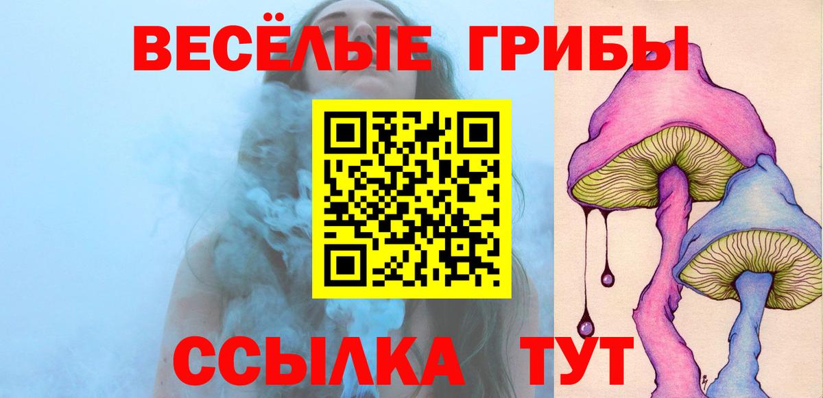 А ПВП Звенигород