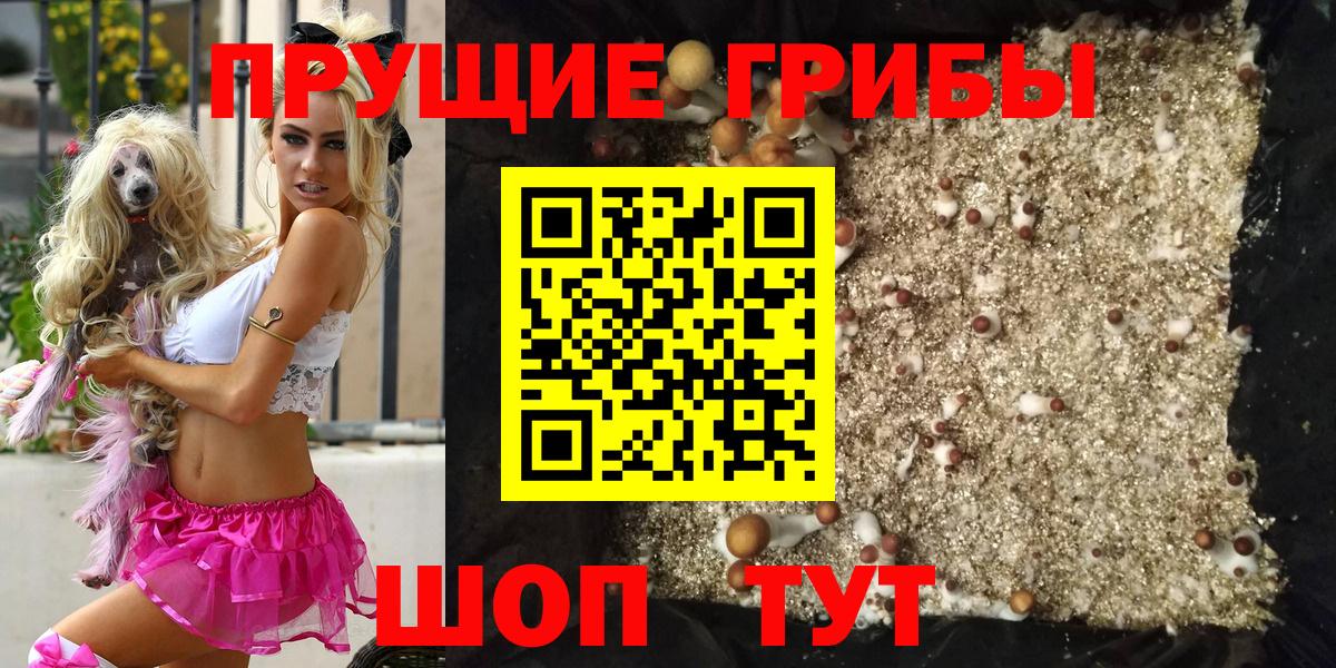 Галлюциногенные грибы Cubensis Звенигород