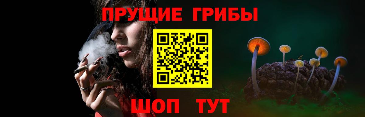 Галлюциногенные грибы MAGIC MUSHROOMS  Псилоцибиновые грибы мицелий  Звенигород  купить   Вход с VPN 